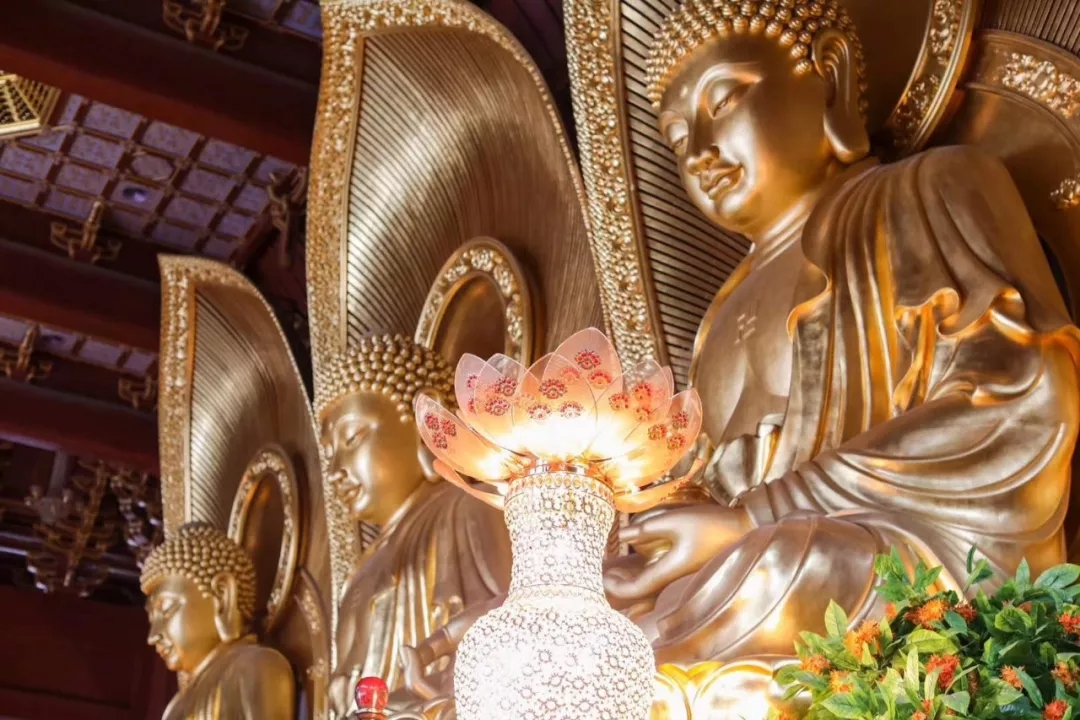 1605079462264215.jpg 640.webp (11).jpg