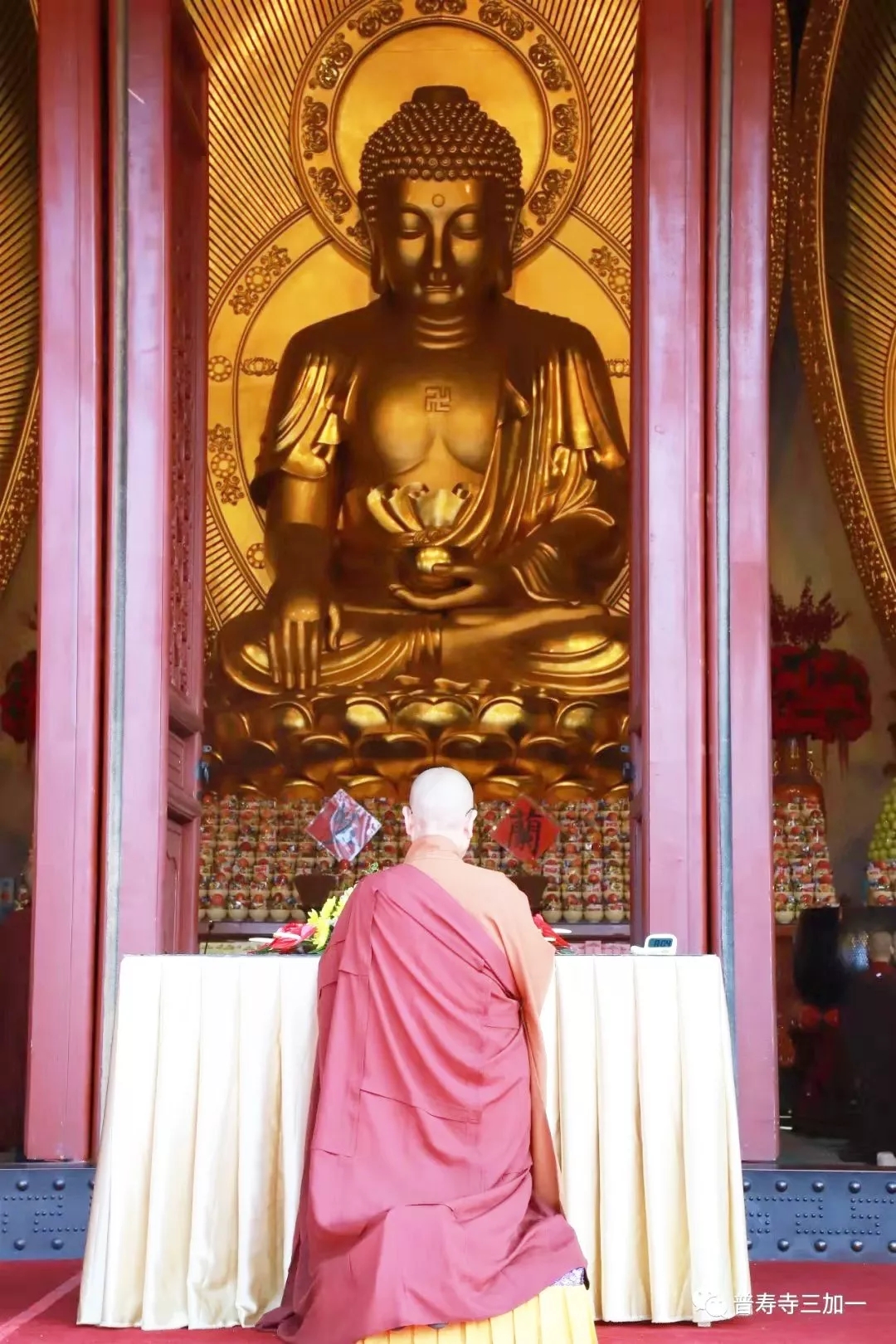 1606201688105281.jpg 640.webp (4).jpg