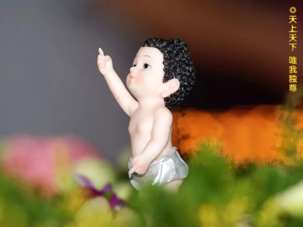 1621408099315896.jpg 640.webp (1).jpg