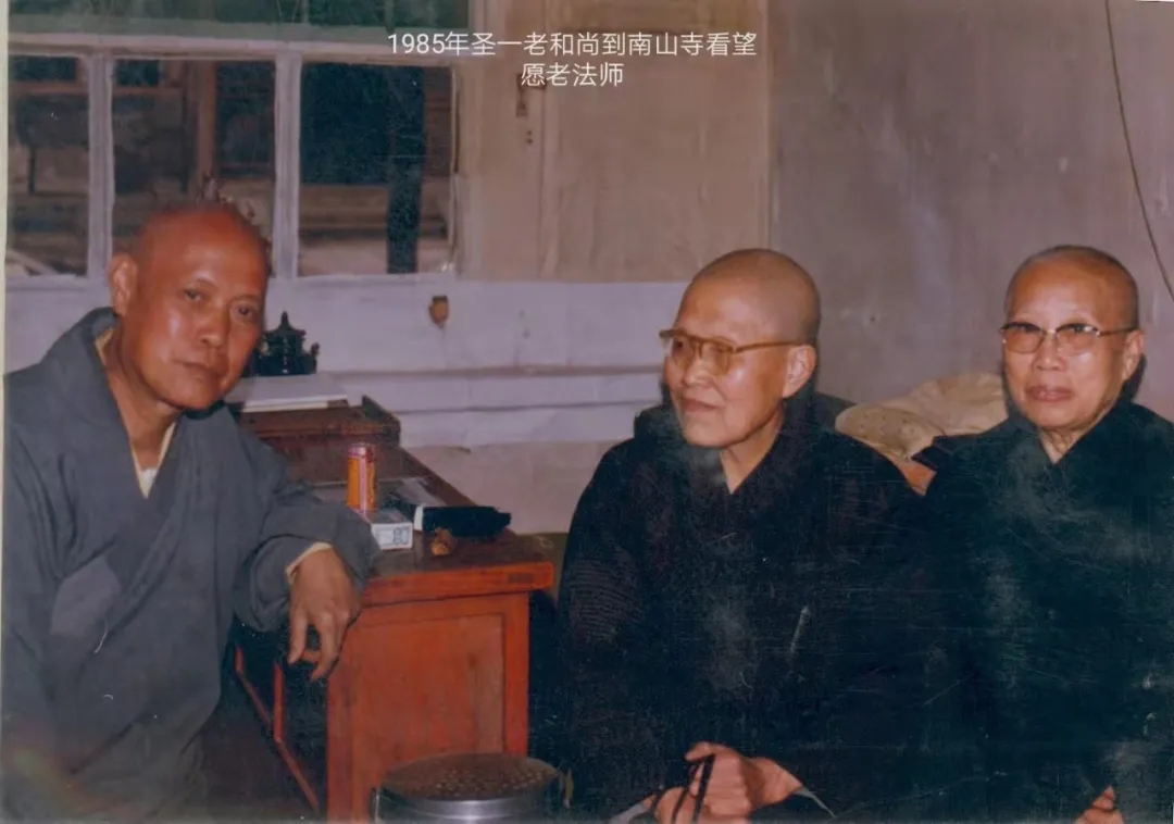 1632466599926646.jpg 640.webp.jpg