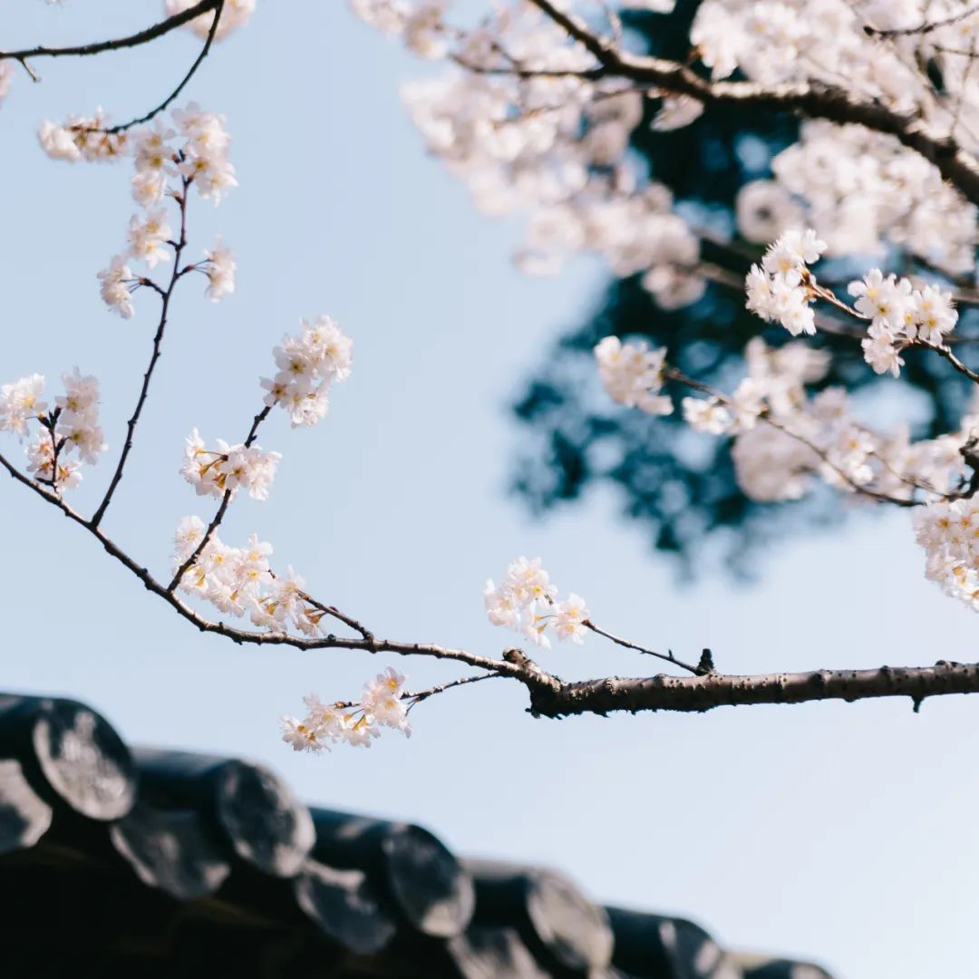 1679361354104188.jpg 2023.3.21-2.jpg