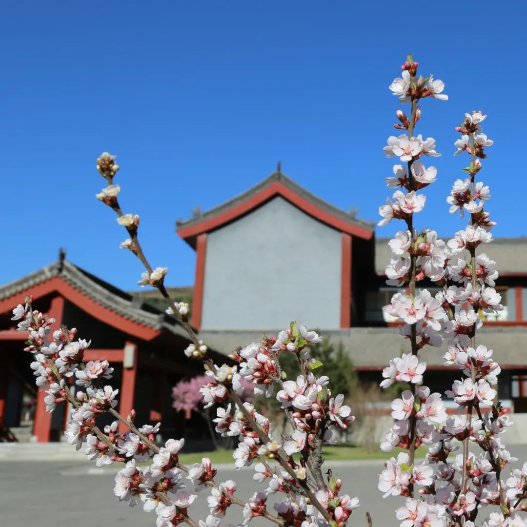 1679361367237105.jpg 2023.3.21-3.jpg