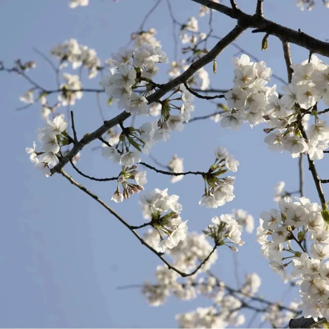 1679361385100737.jpg 2023.3.21-4.jpg