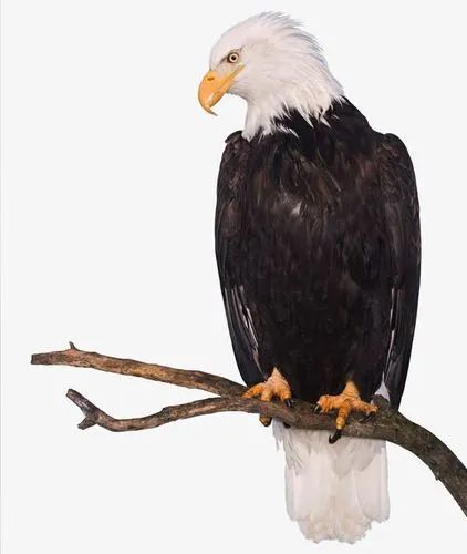 1688685744898460.jpg 2023.7.7-1.jpg