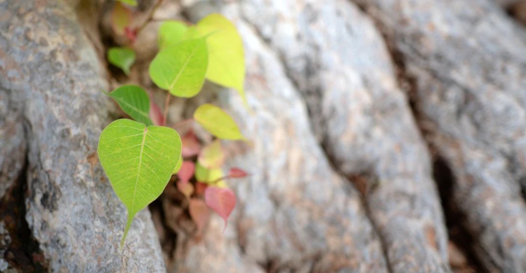 1690414062102166.jpg 2023.7.26-1.jpg