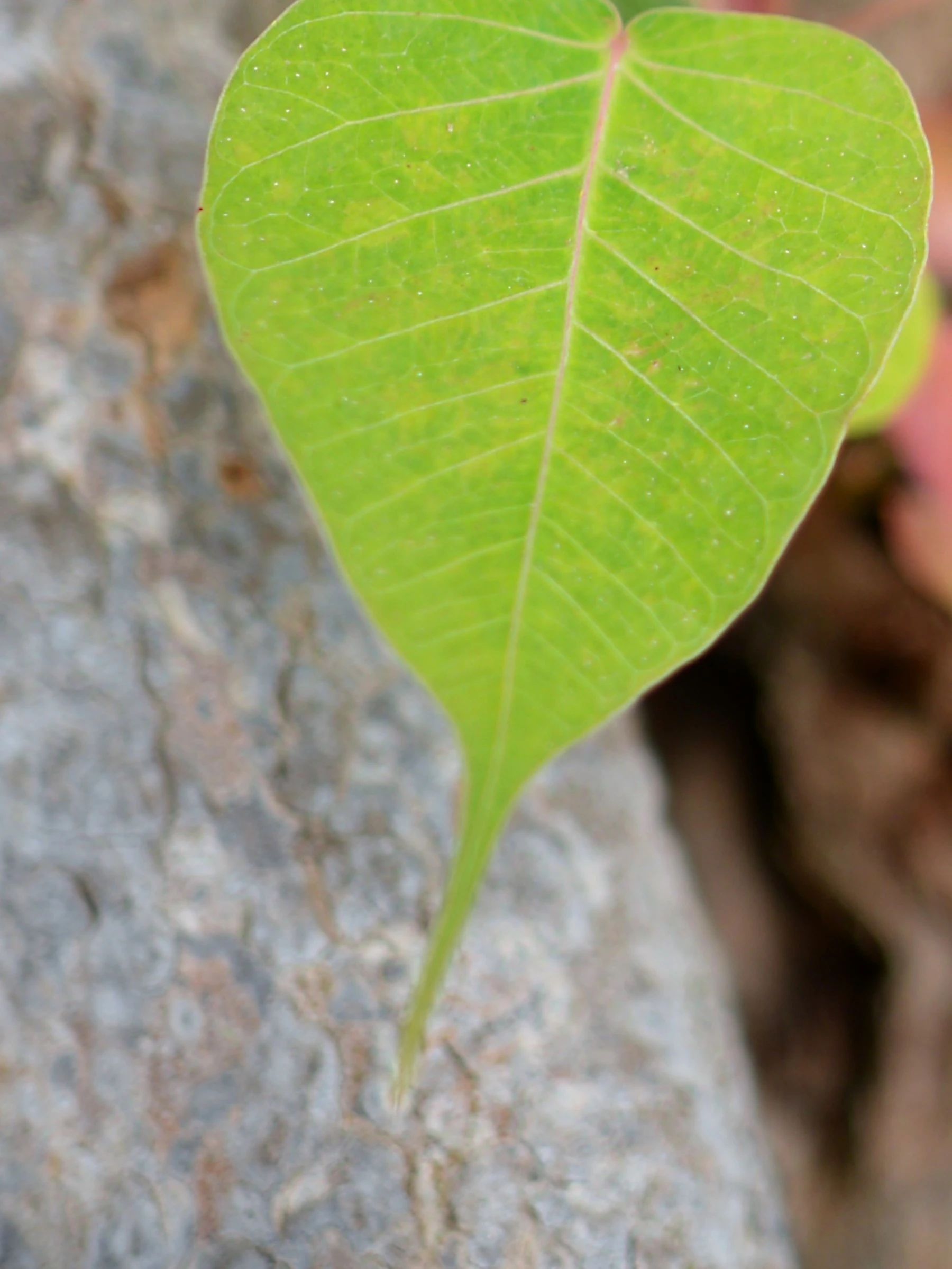 1690414081135933.jpg 2023.7.26-2.jpg