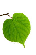 1690414191847295.png 2023.7.27-3(1).png