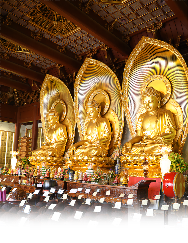 1692830325662086.png 2023.8.24-1(1).png