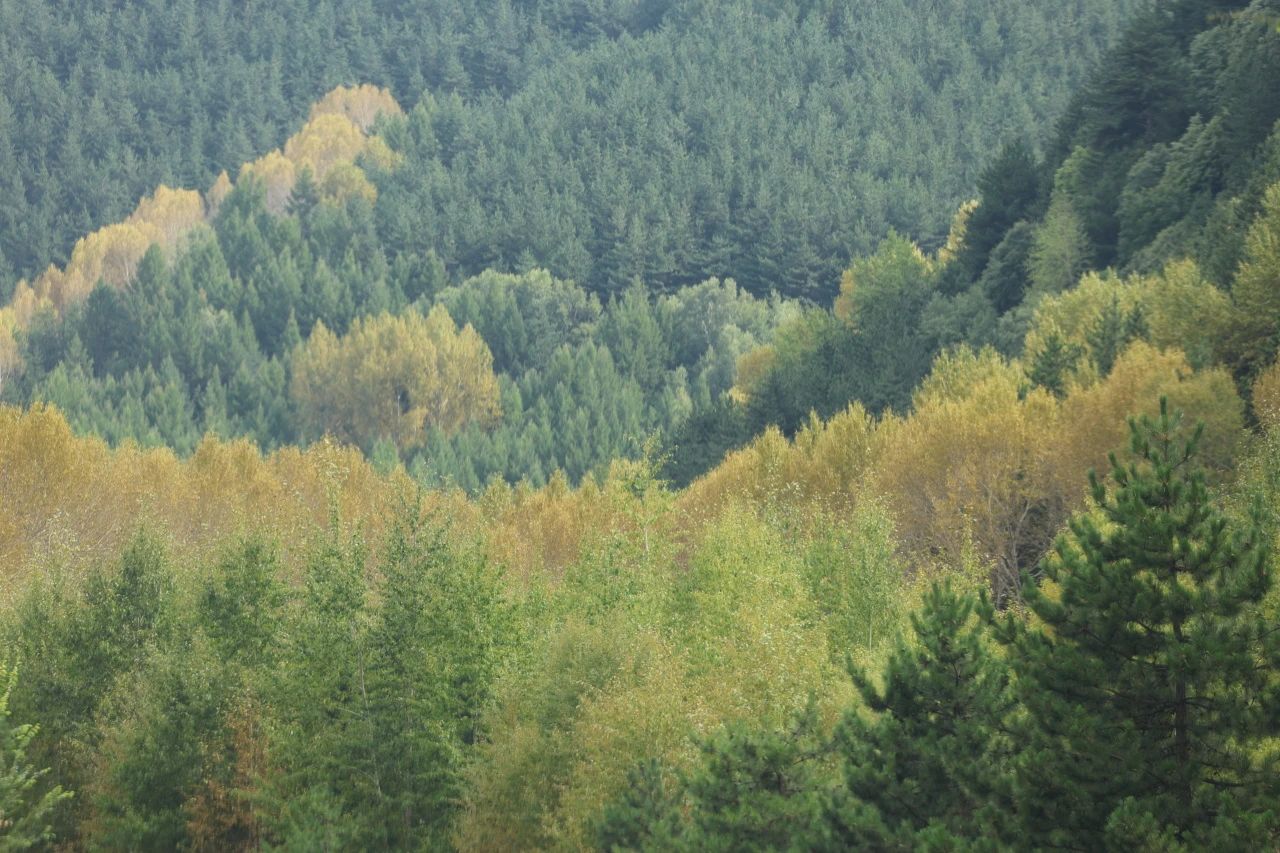 1693648948377388.jpg 2023.9.1-1.jpg