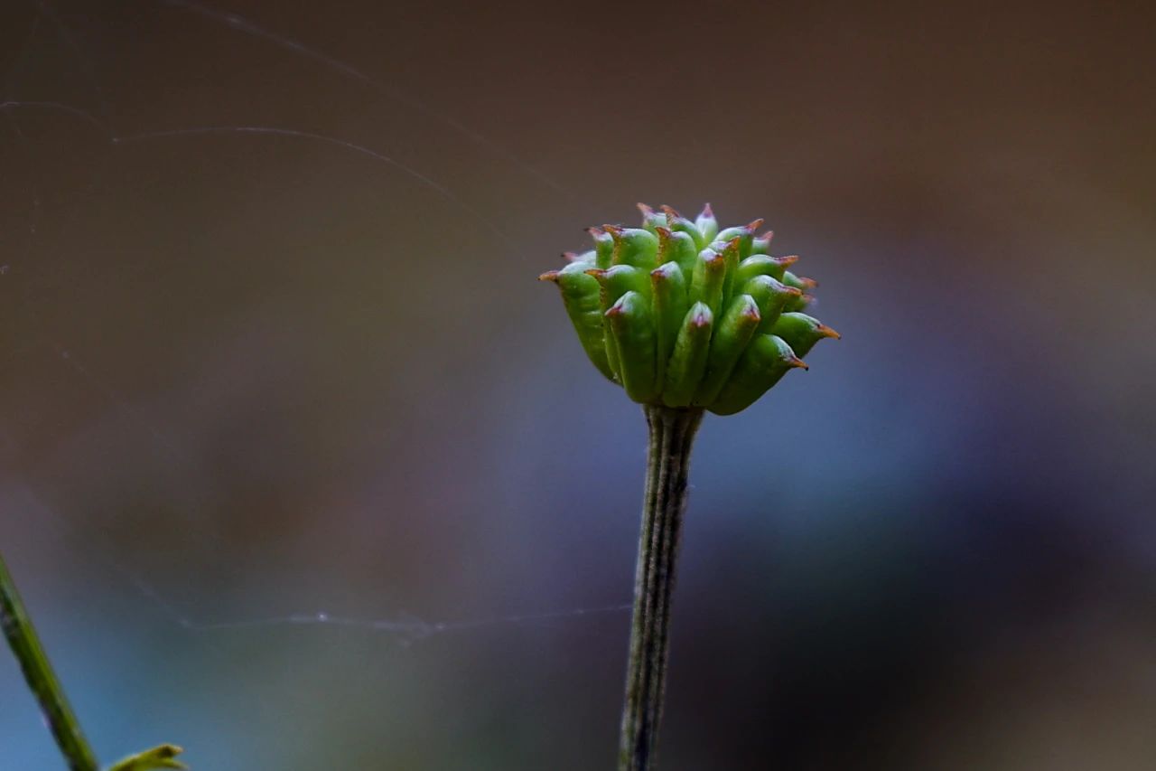 1693648989949410.jpg 2023.9.1-2.jpg