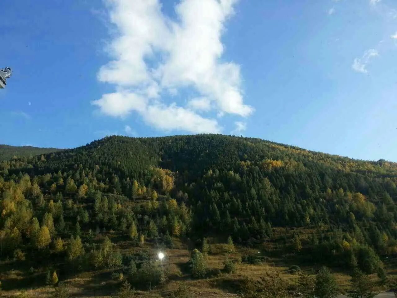 1697283370904485.jpg 2023.10.6-3.jpg