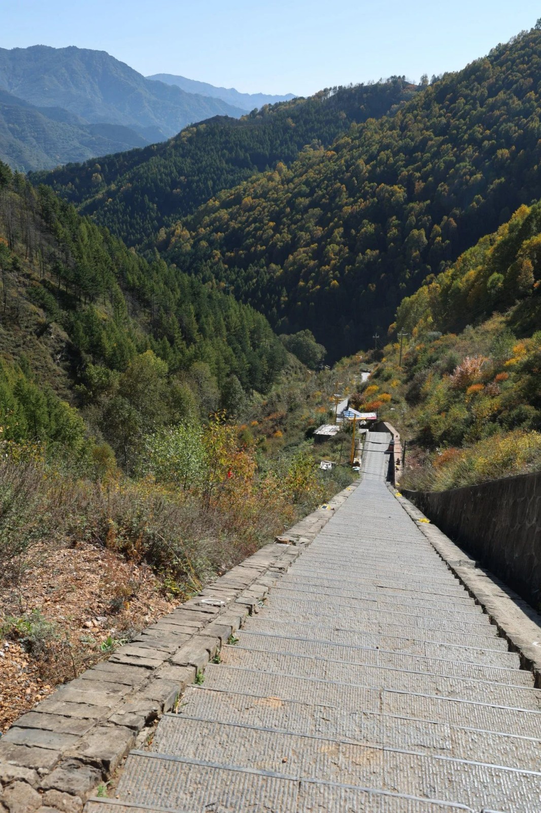 1697284575137654.jpg 2023.10.9-2.jpg