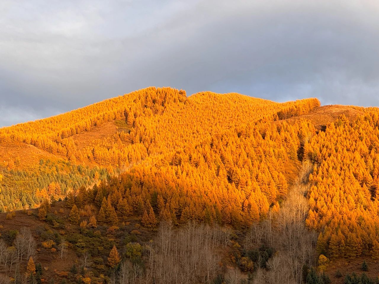 1698276684357723.jpg 2023.10.23-2.jpg