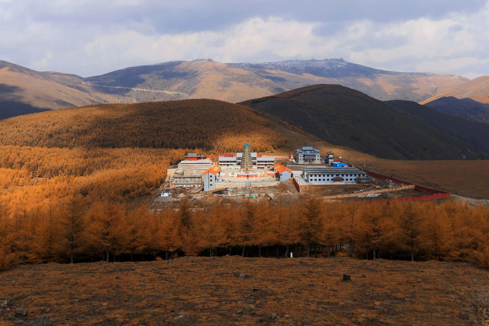 1701612372268088.jpg 2023.11.24-1.jpg