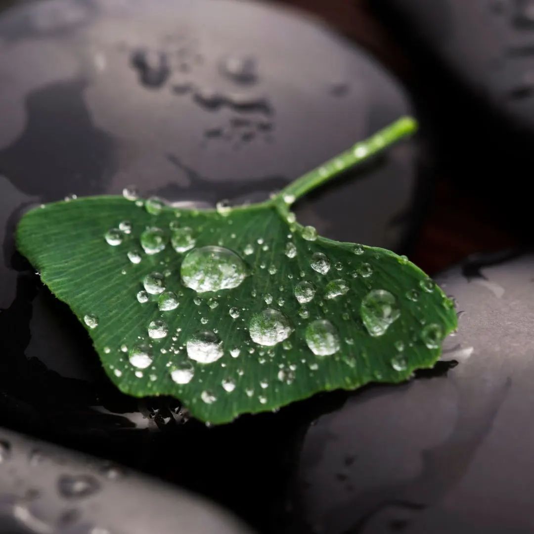 1705886286555239.jpg 2024.1.22-4.jpg