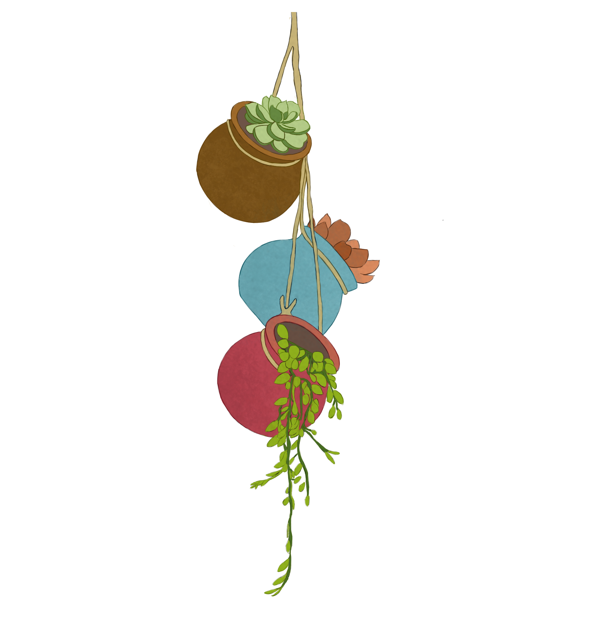 1706406225506484.png 2024.1.28-2.png