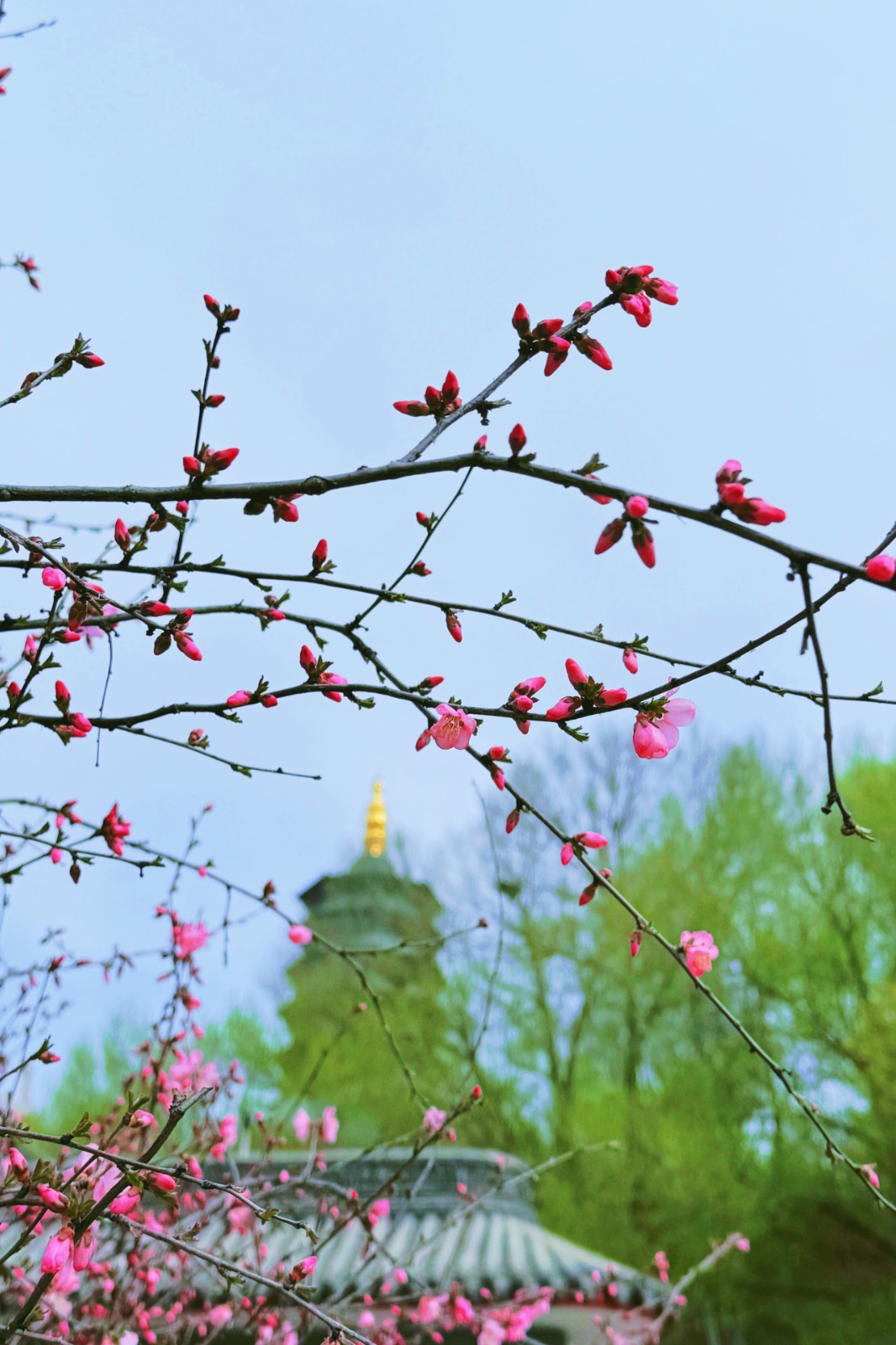 1714264072286591.jpg 2024.4.28.jpg