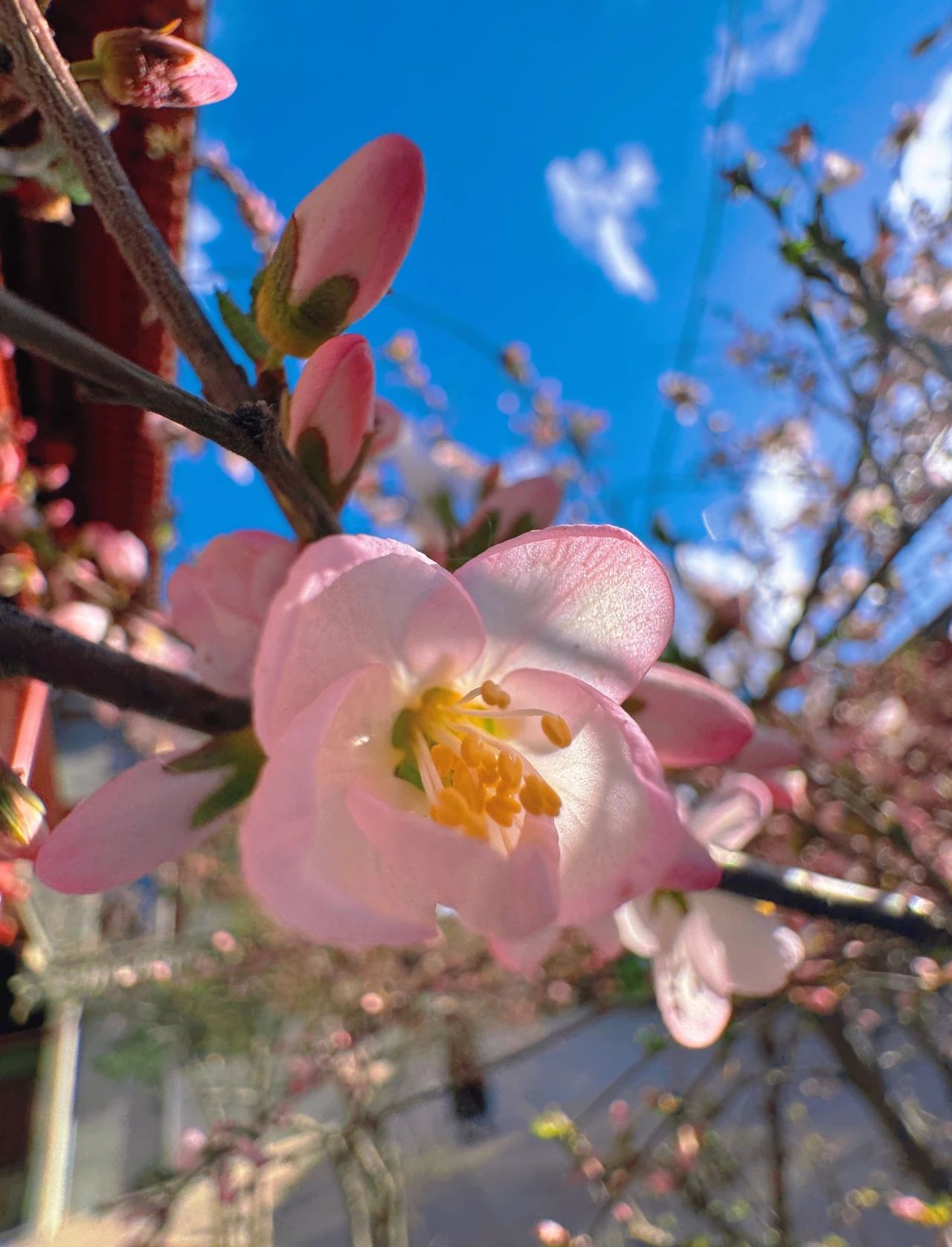 1714342631966364.jpg 2024.4.29-1.jpg