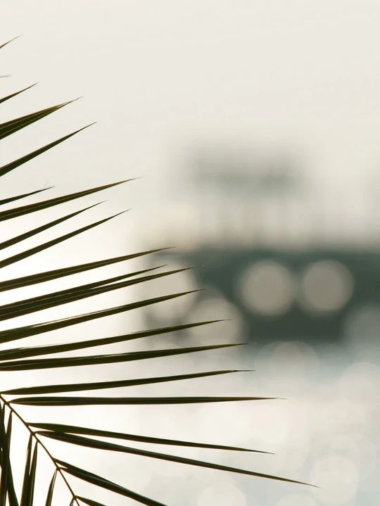 1716081500102927.jpg 2024.5.19.jpg