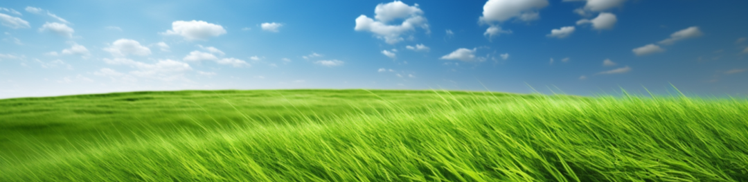 1716166124315078.png 2024.5.20-1.png