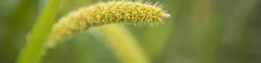 1716166134133432.jpg 20240.5.20-2.jpg