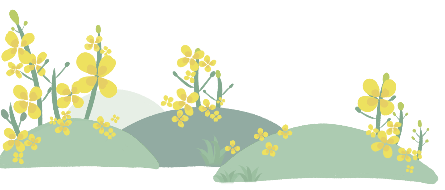 1716357345499168.png 2024.5.22-2.png