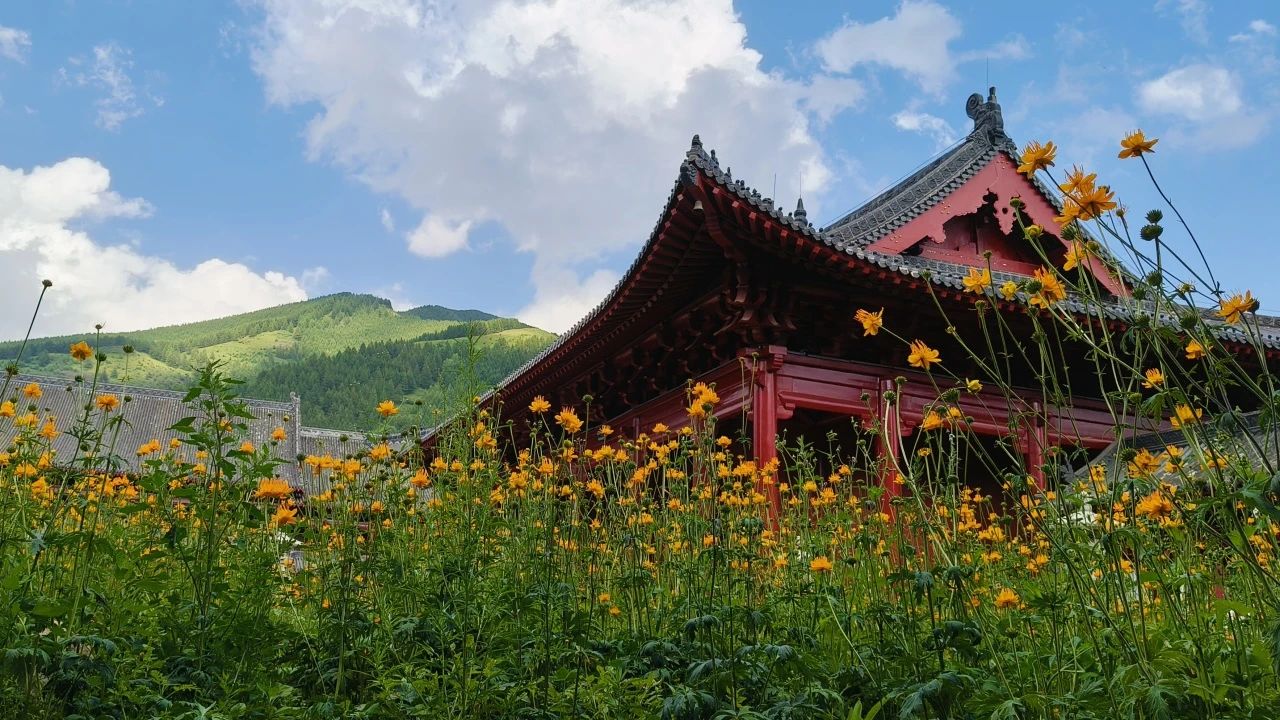 1721300146990978.jpg 2024.7.18.jpg