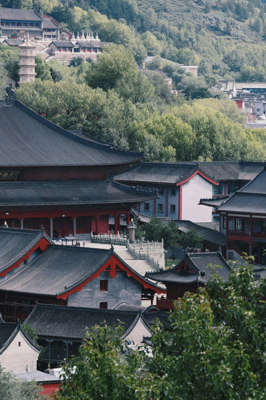 1722238715134211.jpg 2024.7.29.jpg