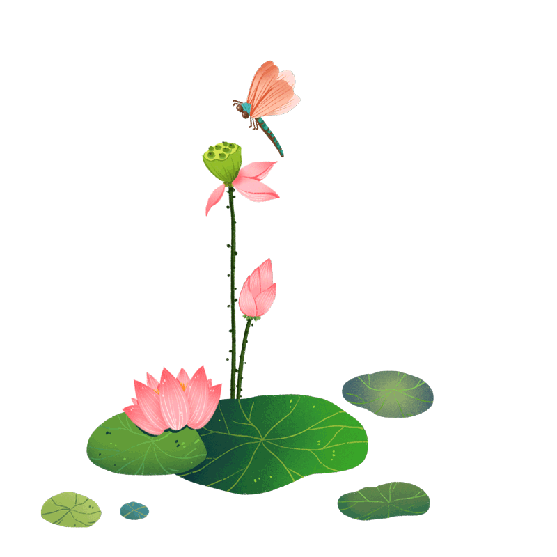 1723768927878321.gif 2024.8.16-3.gif