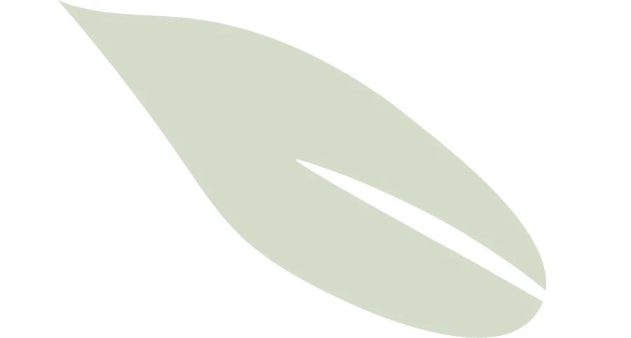 1724070363484322.jpg 2024.8.19-g.jpg