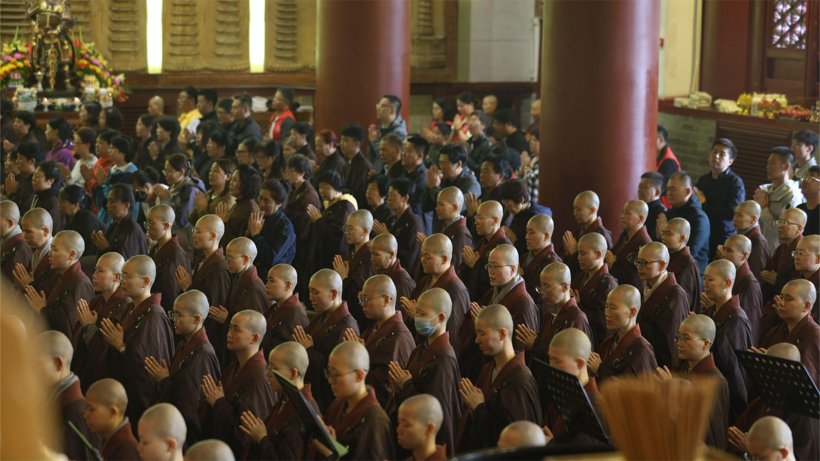 1724071236376829.jpg 2024.8.19-5.jpg