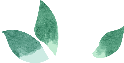 1731894775135274.png 2024.11.18-3.png