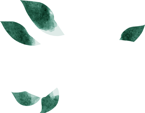 1731894792120489.png 2024.11.18-4.png