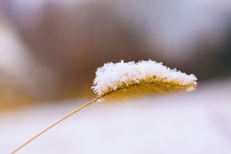 1732232820890757.jpg 2024.11.22-1.jpg