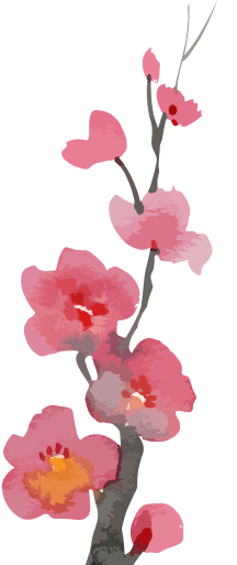 1732232859116185.png 2024.11.22-3.png