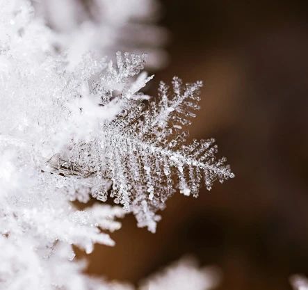 1732232873585619.jpg 2024.11.22-4.jpg