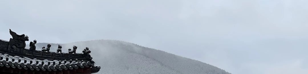 1733659036622454.jpg 2024.12.6-2.jpg