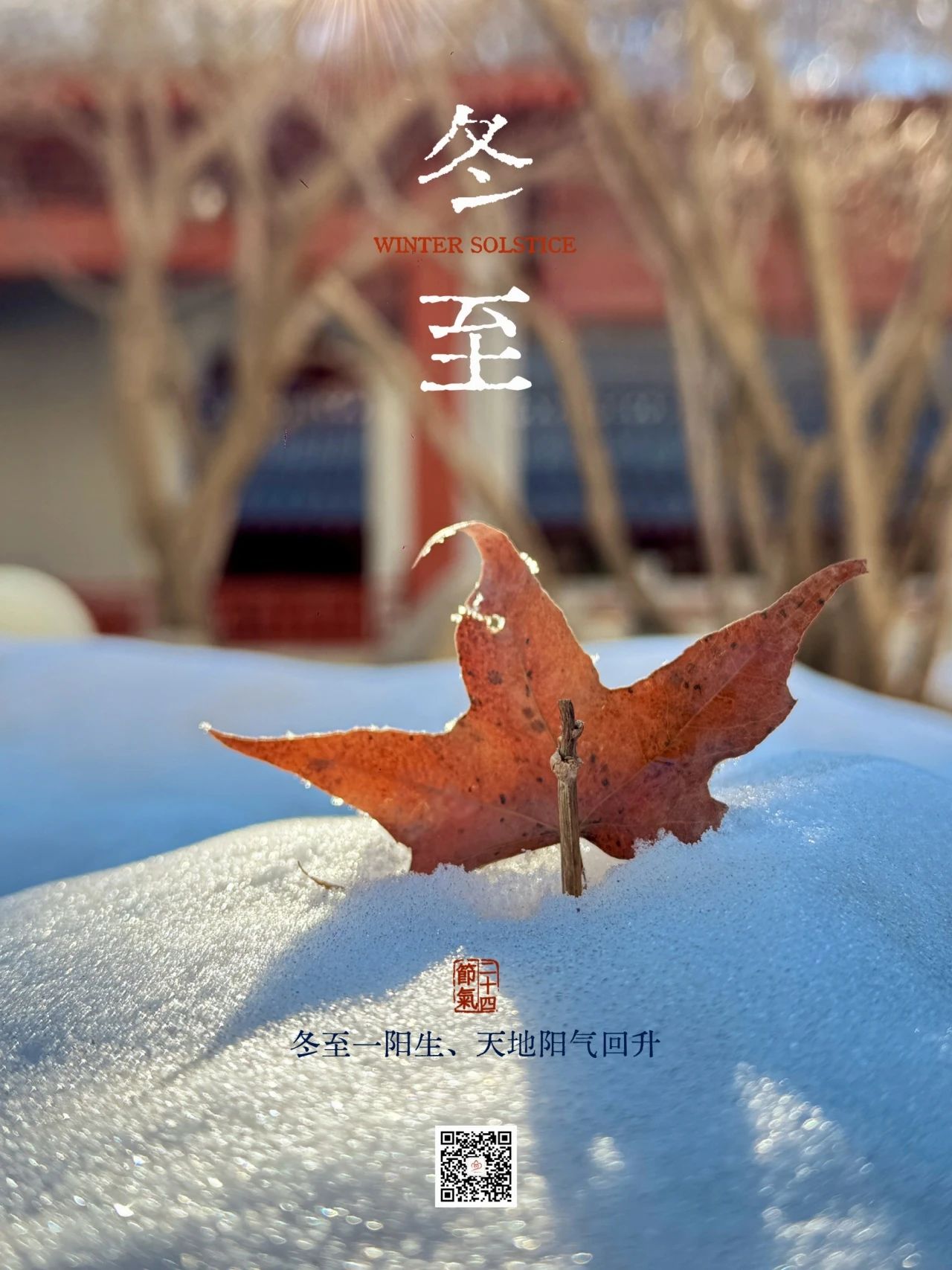 1734762745971098.jpg 2024.12.21.jpg