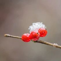 1734921297122795.jpg 2024.12.23-1.jpg